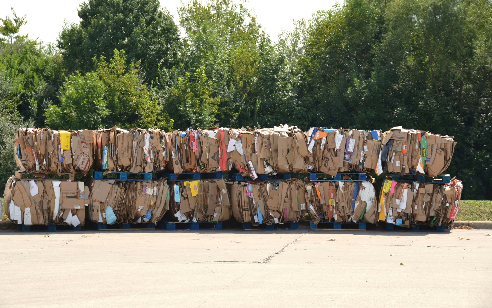 Bales of compressed cardboard stacked on pallets, ready for recycling